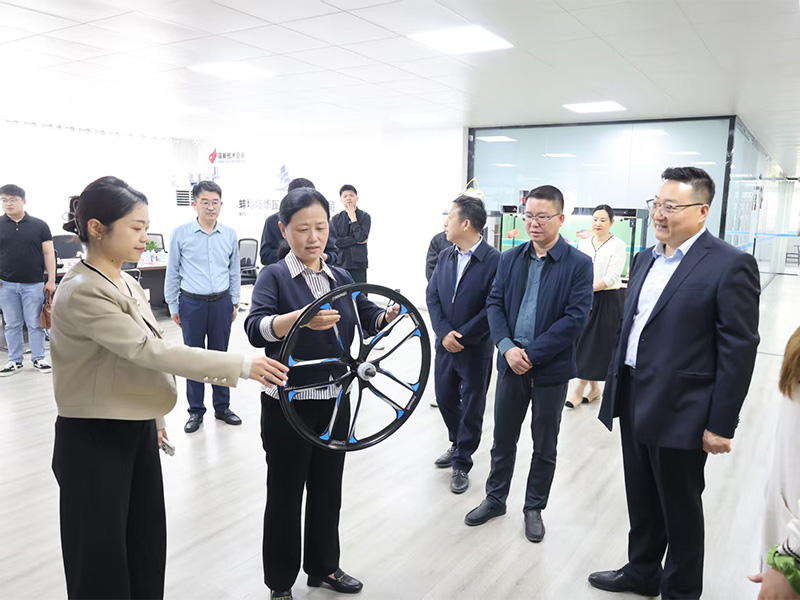 Sang Yanhui, secretario del Comité del Distrito de Bengbu del PCCh de la ciudad de Bengbu, dirigió un equipo para realizar una investigación en Bengbu Longhua Die Casting Machine Co., LTD.